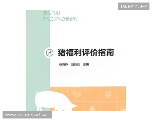 亚星会员官网登录入口全面指南帮助玩家轻松登录享受专属福利 亚星会员官网登录入口全面指南帮助玩家轻松登录享受专属福利