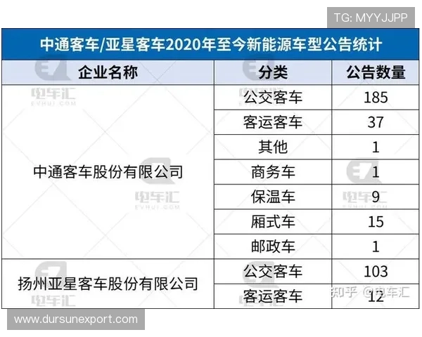 亚星集团在新能源产业中的布局与未来发展前景分析